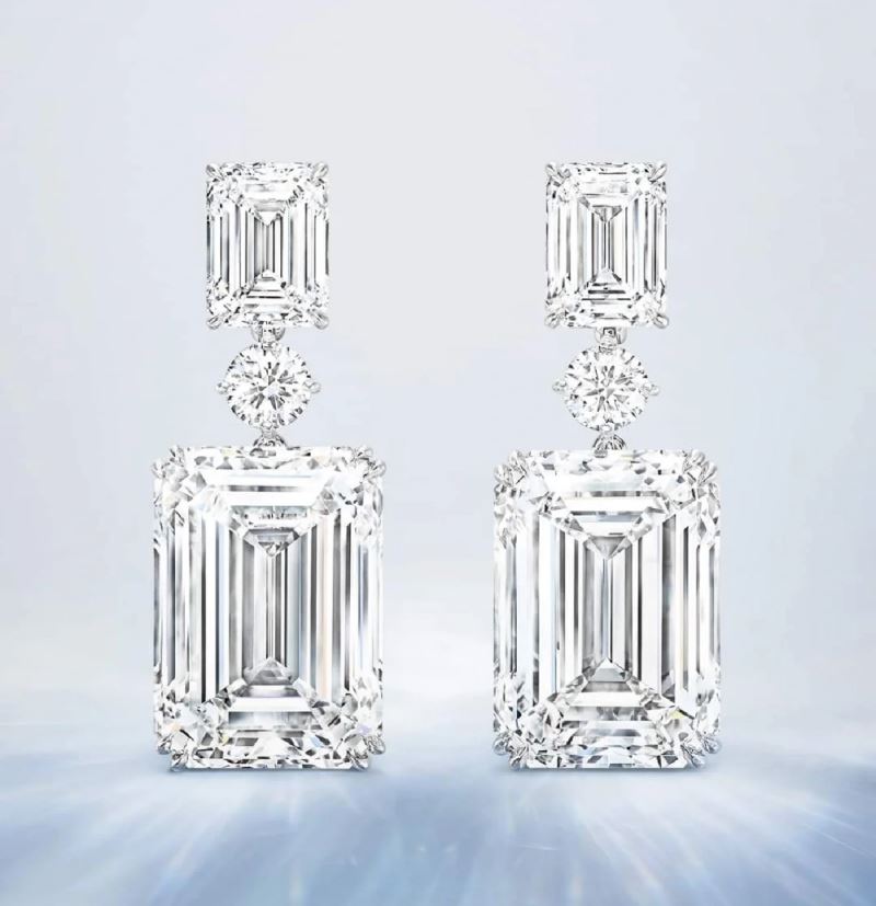 Harry Winston Earrings